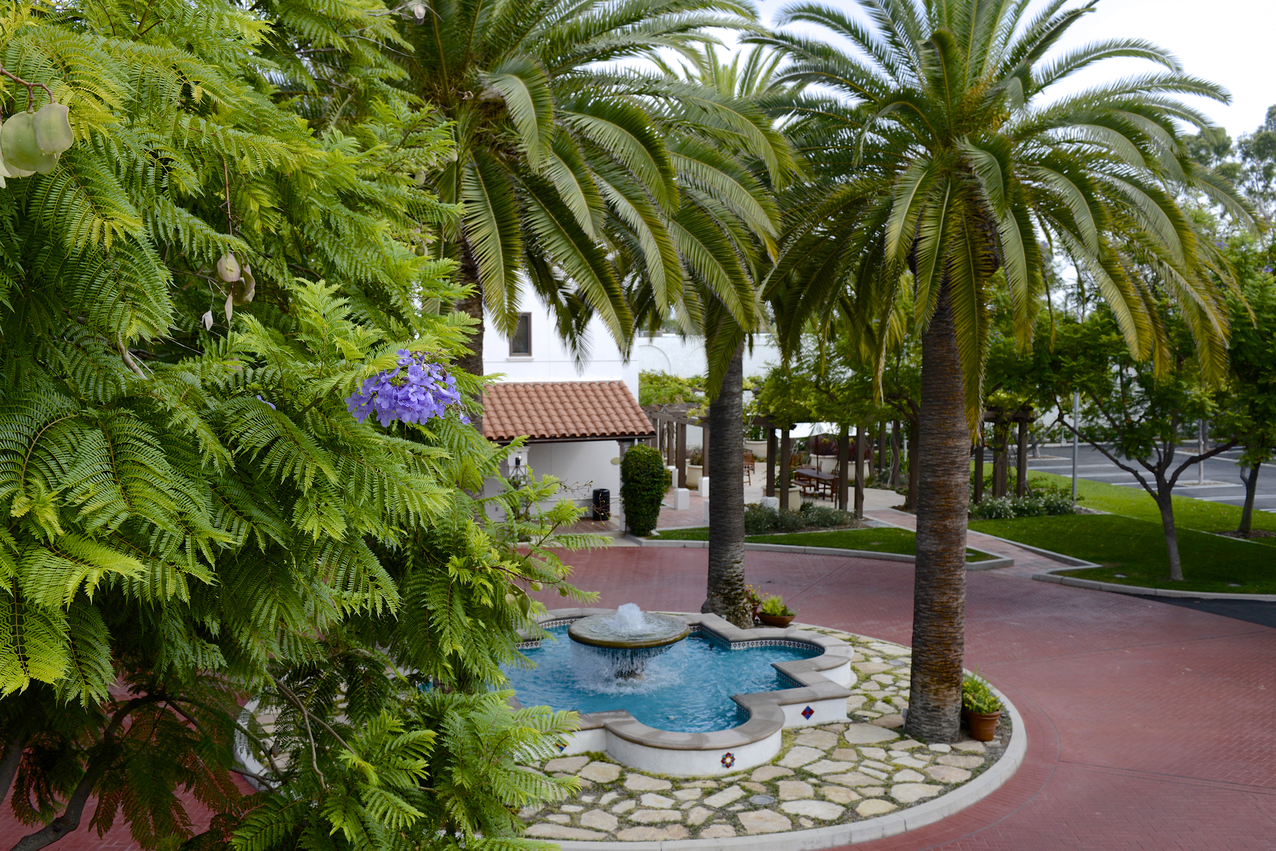 Issue 105 - November 2020 - California JPIA